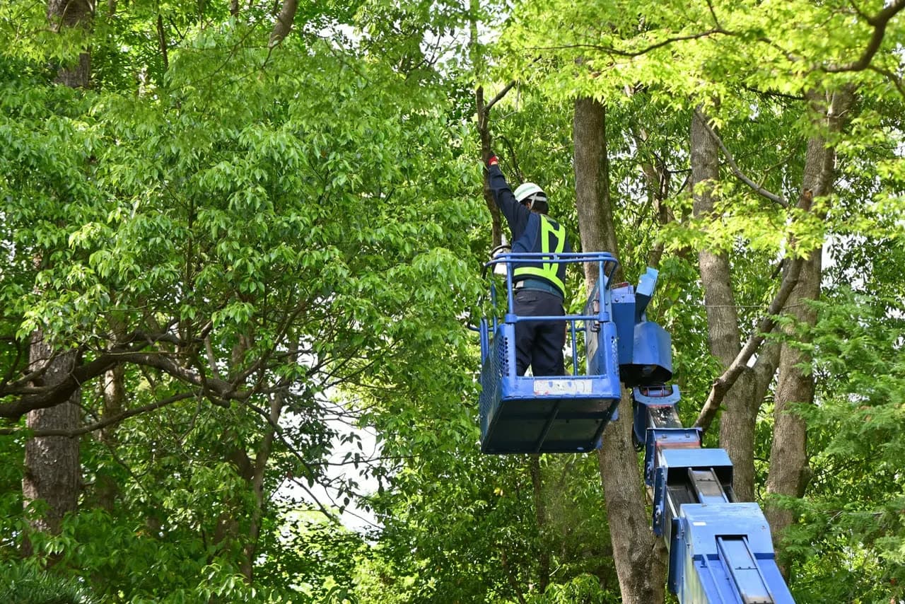 High-Reach Bucket Trimming